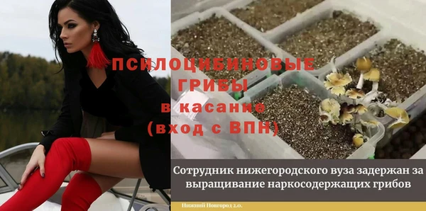 метадон Абаза