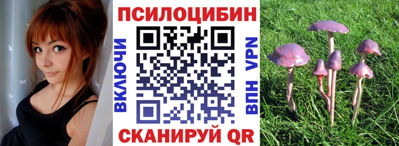 Галлюциногенные грибы Psilocybe  блэк спрут зеркало  Тетюши 