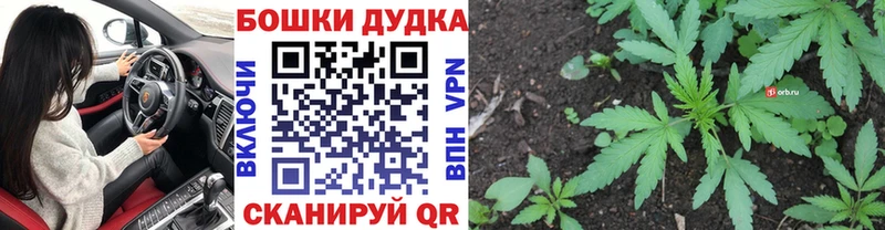 Бошки Шишки Amnesia  магазин    Тетюши 